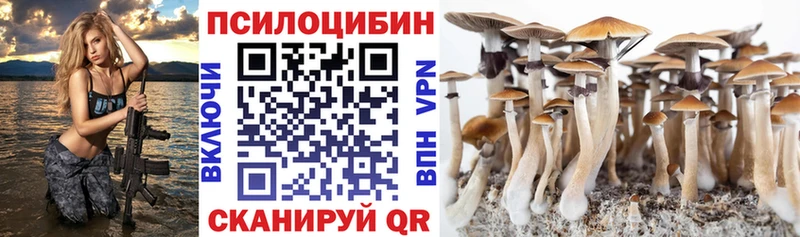 даркнет сайт  нарко площадка Telegram  Галлюциногенные грибы GOLDEN TEACHER  Никольск 